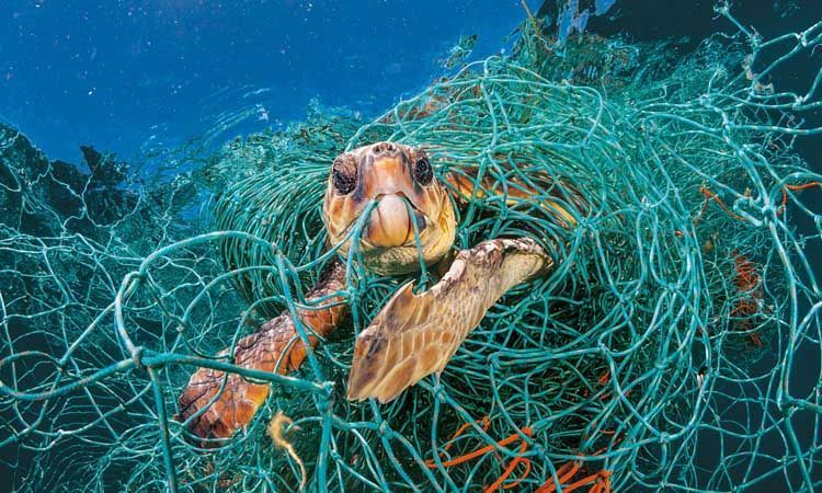 Productos náuticos biodegradables contra la contaminación en el mar