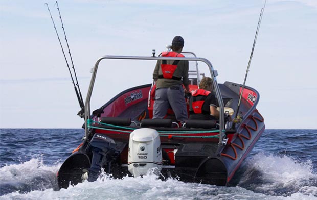 Semirrígida y Pesca Deportiva. La mejor combinación